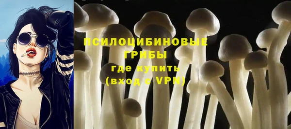 MDMA Краснослободск