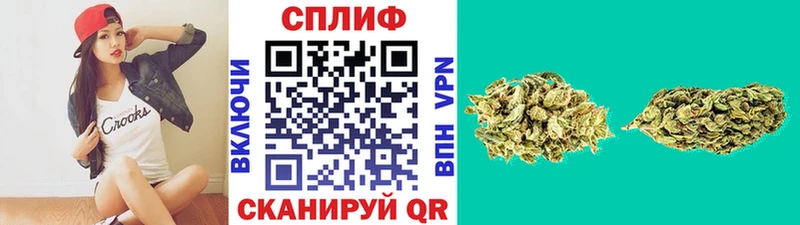 продажа наркотиков  Беслан  Каннабис индика 